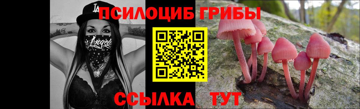 Иваново  магазин  наркотиков  Псилоцибиновые грибы GOLDEN TEACHER  Вход с VPN  Псилоцибиновые грибы мухоморы 