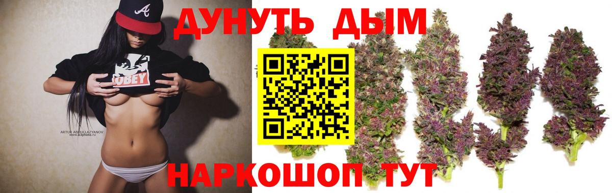 Конопля сатива Иваново